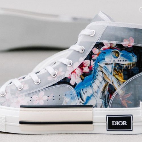 dior high tops dinosaur