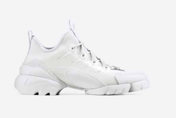 Dior D-Connect White