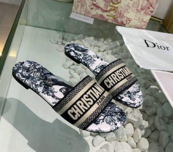 Dior Mule Dway Blue