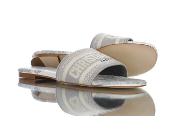 Dior Mule Dway  Grey