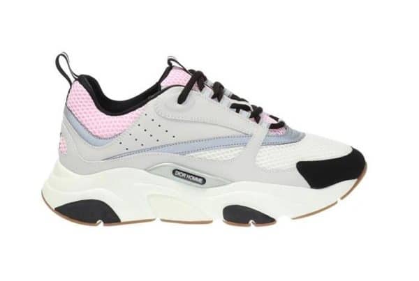 Dior B22 Pink Grey