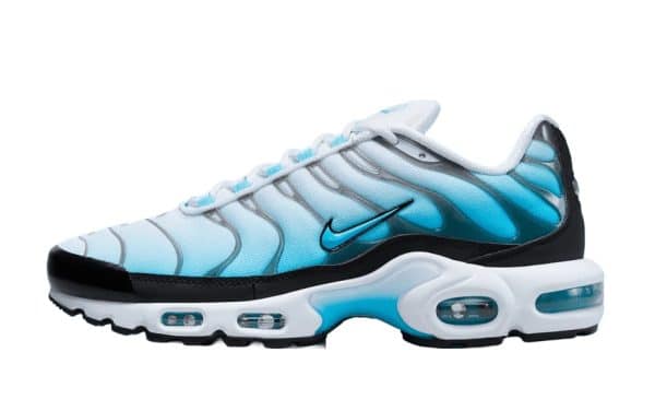 Nike Air Max Plus TN GS Ice